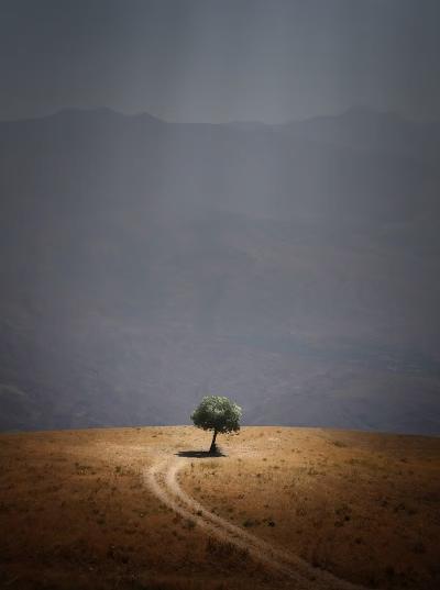 【AI】Cursor的Rules收集