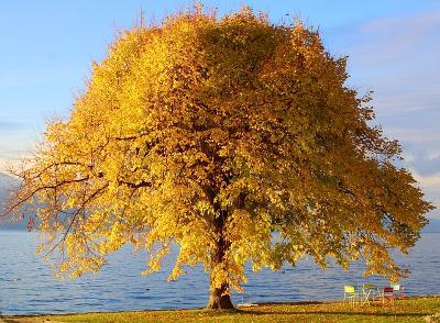 【记录】60岁回望：如果能回到40岁，我想对自己说这三句话